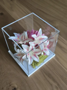 Glasheldere plexiglas stofkap op maat als stofkap voor modelbouw.